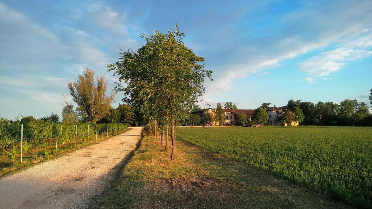 Agriturismo Alle Albare Montorio Veronese Ngoại thất bức ảnh