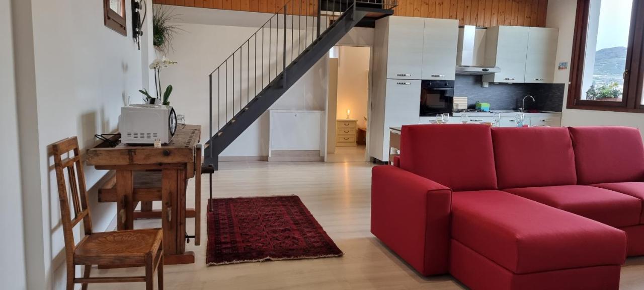 Agriturismo Alle Albare Montorio Veronese Ngoại thất bức ảnh
