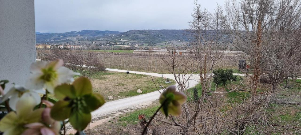 Agriturismo Alle Albare Montorio Veronese Ngoại thất bức ảnh