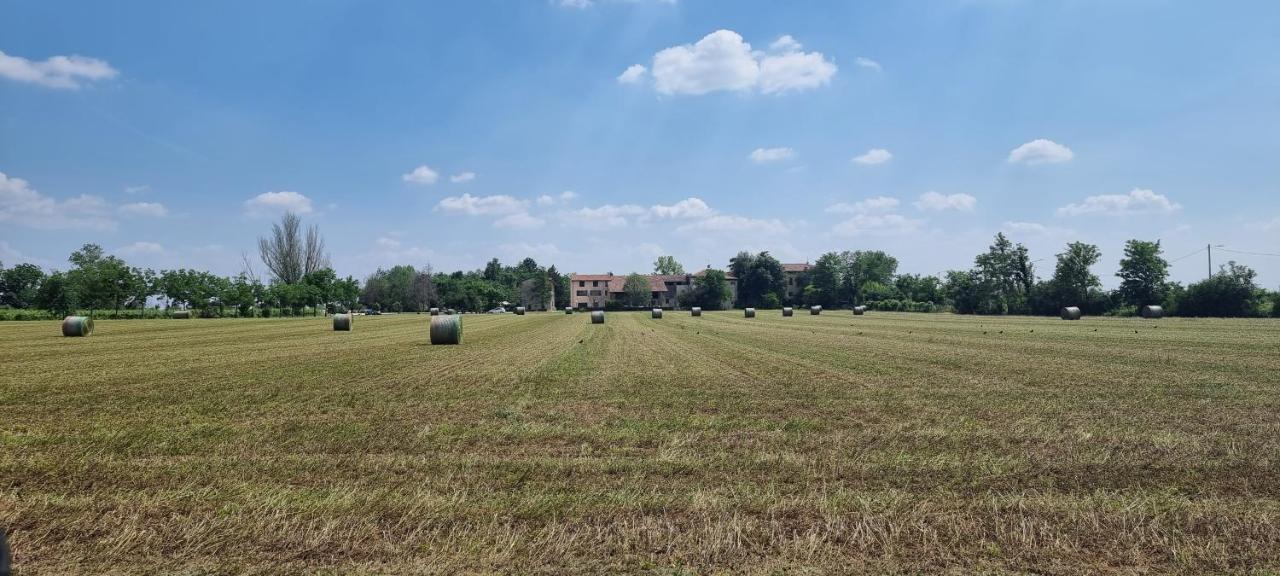 Agriturismo Alle Albare Montorio Veronese Ngoại thất bức ảnh