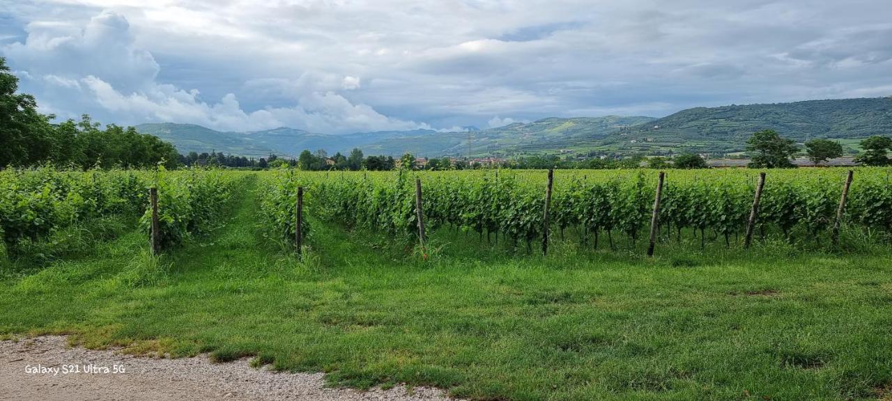 Agriturismo Alle Albare Montorio Veronese Ngoại thất bức ảnh