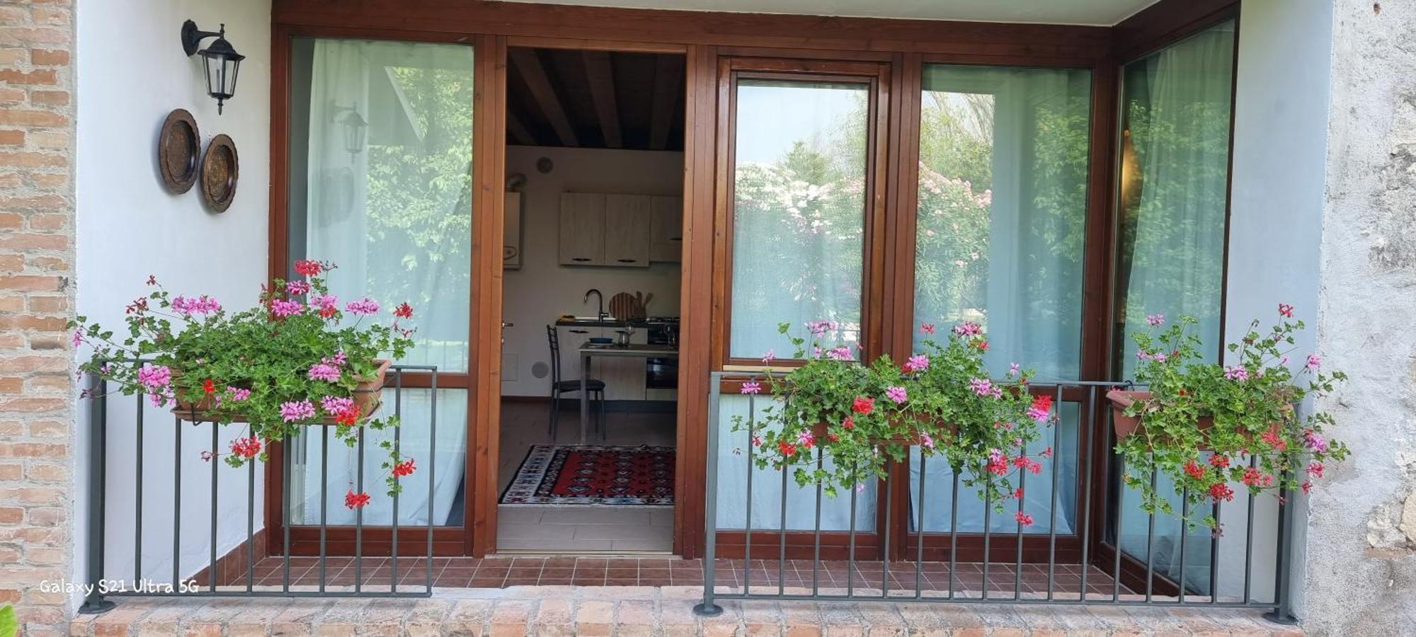 Agriturismo Alle Albare Montorio Veronese Ngoại thất bức ảnh